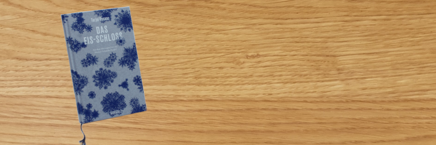 Das Eisschloss 1400×500-2